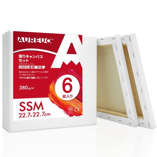 AUREUO張りキャンバスセットSSM(22.7cmX22.7cm))中目100%コットン6枚初心者絵画用具芸術絵創作現代油絵美術装飾水彩画・油絵画・アクリル兼用