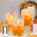 GoldpriceLEDキャンドルライトロウソク秋の紅葉本物の炎のようにゆらめく3点セット暖色光火を使わないゆらゆら揺れる安全省エネ専用リモコン付き明るさ調整電...