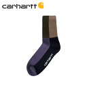 carhartt WIP カーハート ソックス 靴下 メンズ VALIANT SOCKS マルチカラー I028832