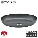 ココパン COCOpan フライパン プレミアムステーキ IH ガス対応 鉄 リバーライト 極SONS C108-001 アウトドア