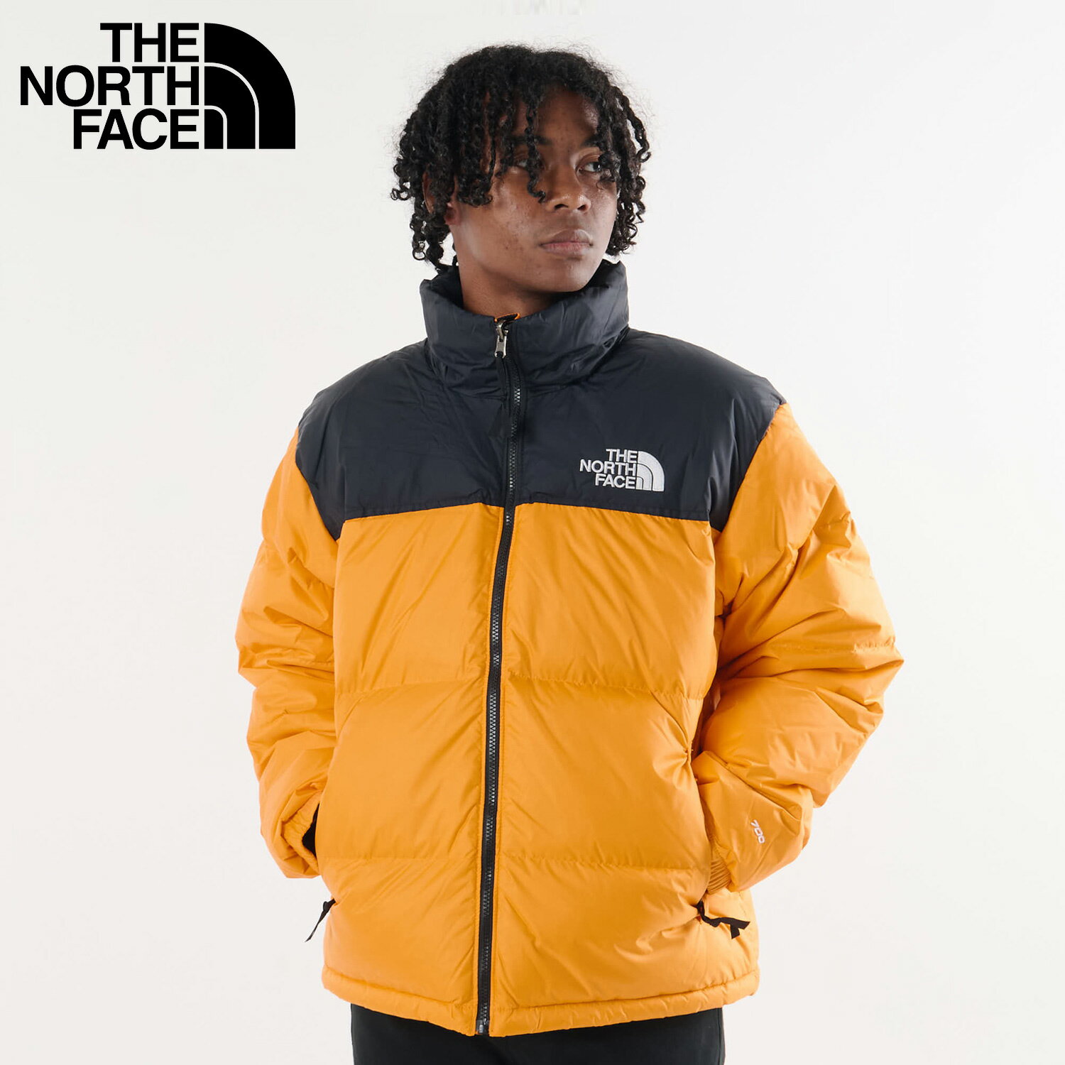 THE NORTH FACE Ρե  㥱å ̥ץ 1996 ȥ   MENS 1996 RETRO NUPTSE JA...
