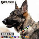 WOLFGANG ウルフギャング 首輪 大型犬 Lサイズ COLLAR マン&ビースト MAN&BEAST