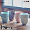 【最大1000円OFFクーポン発行中】 コレス cores アリタブルマグ マグカップ コーヒーカップ コップ 2個セット 300ml 二重構造 大口径 有田焼...