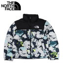 THE NORTH FACE ノースフェイス ダウン ジャケット アウター ヌプシ 1996 レトロ メンズ 防寒 MENS 1996 RETRO NUPTSE JACKET マルチ NF0A3C8D
