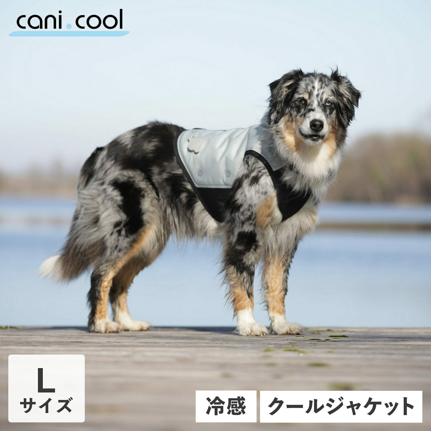 【最大1000円OFFクーポン発行中】 カニクール CANI COOL 犬 ひんやり グッズ 夏服  ...