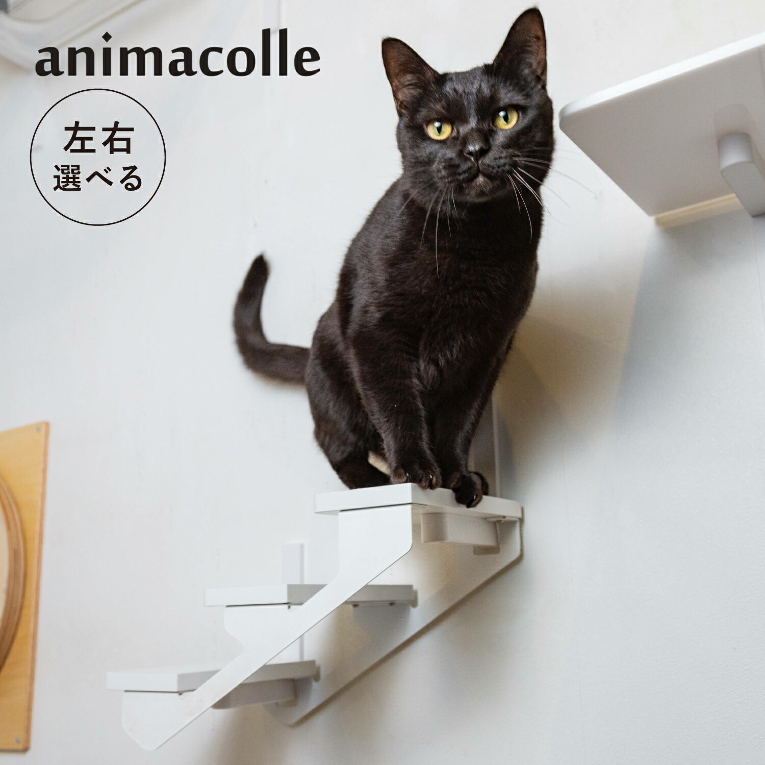【最大1000円OFFクーポン発行中】 animacolle アニマコレ キャットステップ キャットタワー キャットラダー 左上り/右上り 日本製 安全 壁付け...