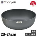 【特典付き】 ココパン COCOpan 鉄鍋 20cm 24cm 深型 IH ガス対応 鉄 リバーライト 極SONS