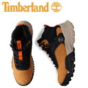 yő1000~OFFN[|zzz Timberland eBo[h u[c nCJ[ ~bh [X SAebNX Y MID LACE GORE-TEX HIKER BOOT uE A6B4S