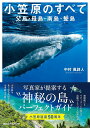 小笠原のすべて 父島・母島・南島・聟島 (諸ガイド) 中村 風詩人