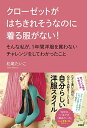 クローゼットがはちきれそうなのに着る服がない! そんな私が、1年間洋服を買わないチャレンジをしてわかったこと [単行本（ソフトカバー）] 松尾 たいこ