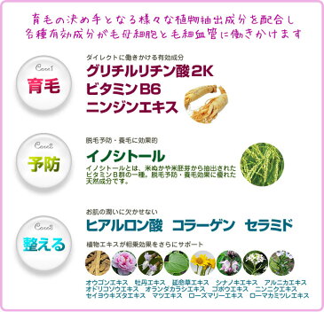 【送料無料】薬用 まつ毛 育毛ミニエッセンス & アイラッシュ トリートメント セット 医薬部外品 ルチア まつげ 眉毛 まゆげ 発毛 プラセンタ コラーゲン ヒアルロン酸 エイジングケア スキンケア 目元 アイケア 美容液 東急ハンズ おすすめ 激安 オススメ