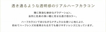 【送料無料】 リルムーン LILMOON 1MONTH　度あり 1枚入り カラコン 1か月 マンスリー 使い捨て 全7色 度あり