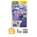 DHC 速攻ブルーベリー 30日分 （60粒