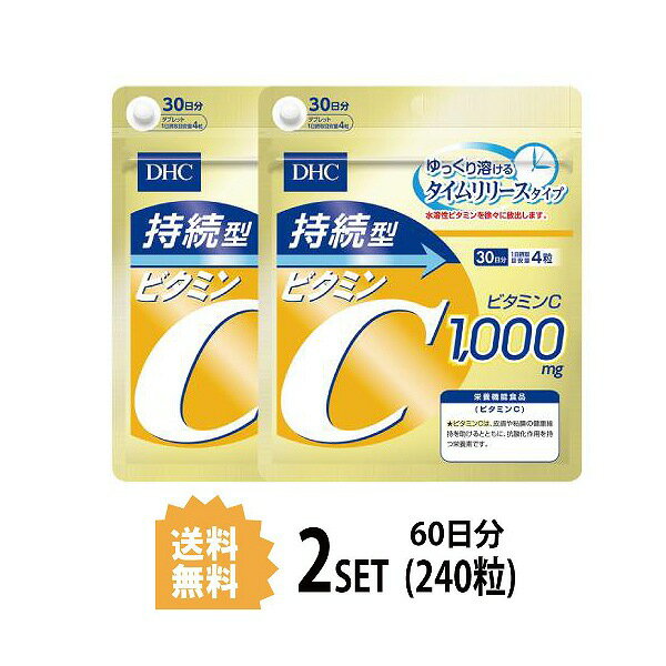 【2パック】 DHC 持続型ビタミンC 30