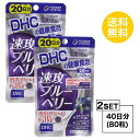 【お試しサプリ】【2個セット】 DHC 速攻ブルーベリー 20日分×2パック （80粒） ディーエイチシー サプリメント ビルベリー ルテイン ..