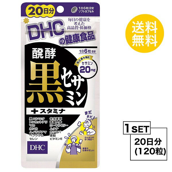 【お試しサプリ】 DHC 醗酵黒セサミン+スタミナ 20日分 （120粒） ディーエイチシー サプリメント 黒ゴマ セサミン 黒ニンニク マカ 粒タイプ