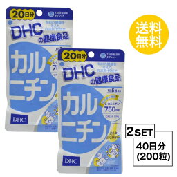 【お試しサプリ】【2個セット】 DHC カルニチン 20日分×2パック （200粒） ディーエイチシー サプリメント L-カルニチン ビタミン 健康食品 粒タイプ