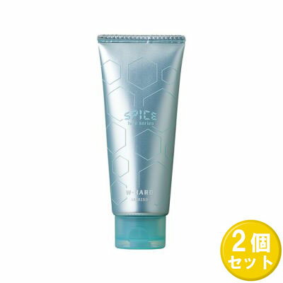 【2個セット】 アリミノ スパイスチューブ Wハード 100g ×2セット ヘアワックス ヘアクリーム スタイリング剤 ツヤ ヘアケア メンズ レディース 美容室専売品 サロン専売品 ARIMINO まとめ買い