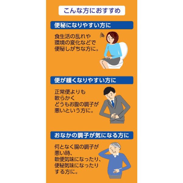 アサヒ エビオス整腸薬 504錠 ASAHI サプリメント オススメ 乳酸菌 乾燥酵母 ビフィズス菌 フェカリス菌 アシドフィルス菌 sugartime-10143235 SUGAR TIME サンプル画像3