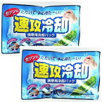 【2セット】 速攻冷却 K-2001 携帯用冷却パック 冷却 おでこ 頬 火照り ほてり 脇の下 首 太もも 脚の付け根 動脈部分 日本製 メイドインジャパン 安全 冷たい 冷却 発熱 熱帯夜 眠気覚まし 頭痛 歯痛 弱酸性 熱中症 野外 スポーツ観戦 ライブ 水不要
