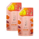 【ワンダフルデー 全品 P5】 【2セット】 いち髪 濃密 W保湿ケア シャンプー つめかえ用 2回分 660mL 詰め替え つや髪 うるおい しっとり ヘアケア ダメージヘア なめらか 植物由来 ゴワつき対策 おすすめ クラシエ クラシエホームプロダクツ