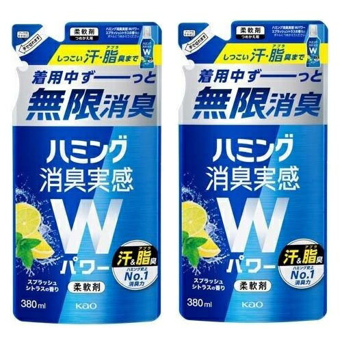 【11日～14日ポイント2倍】 【2セット】 花王 ハミング 消臭実感 Wパワー スプラッシュシトラスの香り つめかえ用 380mL Kao 洗たく用洗剤 柔軟剤 液体洗剤 詰め替え 詰替 消臭 汗 皮脂 ニオイ スポーツ デオドラント 部活 夏 加齢臭 ワイシャツ