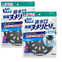 【マラソン中 P5倍】 【2セット】 花王 キッチンハイター 除菌ヌメリとり 本体ゴム Kao 排水口 洗浄 除菌 ヌメリ ニオイ ゴムタイプ用 中性タイプ