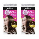 【2セット】 ブローネ 泡カラー 6 ダークブラウン 白髪染め カラーリング 染粉 泡 根元 生え際 分け目 ブラウン 茶色 自然 女性 簡単 ワンプッシュ 根元 ブロッキング不要 トリートメント付き 後ろ 色むら ツンとしない KAO 医薬部外品