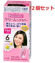 【2セット】 ブローネ クリームヘアカラー 6 やや濃い栗色 白髪染め カラーリング ヘアカラー 部分染め 根元 クリームタイプ 生え際 分け目 短時間 ブラウン 茶色 暗め 落ち着いた色 女性 ロイヤルゼリーエキス カモミルエキス KAO 花王 医薬部外品