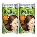 【2セット】 ブローネ 香りと艶カラークリーム 2 より明るいライトブラウン 白髪染め カラーリング ヘアカラー 部分染め 根元 クリームタイプ 生え際 分け目 ブラウン 茶色 明るめ 女性 ロイヤルゼリーエキス 海藻エキス ツンとしない KAO 花王 医薬部外品
