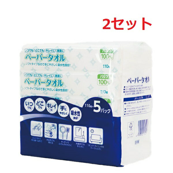 【2セット】【送料無料】 ペーパータオル 220枚 （110組） 5パック ティッシュ 袋タイプ ティッシュペーパー マスコー製紙 水に強い かさばらない コンパクト 洗面所 手拭き キッチン 台ふき リビング ダイニング テーブルふき パルプ100％ 持ち運び 車内