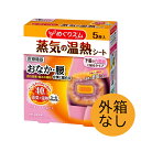 【6セット】 【外箱なし】 めぐりズム 蒸気の温熱シート 下着の内側面に貼る 5枚入 おすすめ温活 お腹 腰 温め ほぐす 花王 癒し 話題 やわふわ 蒸気 温める 医療機器 腰痛 緩和 対策 血行 促進 箱なし エコ