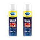 【マラソン中 P5倍】 【2セット】 ドクターショール 消臭・抗菌 靴スプレー 150ml おすすめ フットケア 足のニオイ Dr.Scholl 足 お手入れ ...