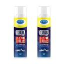 【2セット】 ドクターショール 消臭・抗菌 靴スプレー 150ml おすすめ フットケア 足のニオイ Dr.Scholl 足 お手入れ 話題 靴のニオイ 対策 消臭 スプレータイプ 持ち運び 瞬間消臭 防カビ