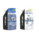 【マラソン中 P5倍】 h&s 5in1 クールクレンズ シャンプー & コンディショナー つめかえ用 セット 850g+850g P&G 詰替え 髪 乾燥 エ...