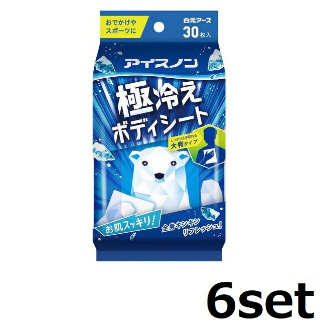 【ブラックフライデー P5倍】 【6セット】 アイスノン 極冷えボディシート 30枚入 ボディシート デオド..