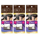 【3セット】 TO-PLAN 白髪かくし ファンデーション ミラー付 コンパクトセット ダークブラウン 白髪 白髪染め カラー ヘアケア 生え際 分け目 塗るだけ ウォータープルーフ