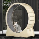 【スーパーSALE P5倍】 猫 キャットホイール 猫 室内猫 ランニングホイール トレッドミル 回転 爪研ぎ つめとぎ 運動不足 ダイエット ルームランナー ねこグッズ にゃんこ かわいい 猫ソファ 長持ち 猫家具 ギフト 贈り物 ペット ペットグッズ
