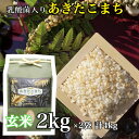 あきたこまち 【2セット】 乳酸菌 あきたこまち 一等米 玄米 2kg お米 玄米 ごはん 国産米 秋田 アキタコマチ 健康 プレゼント ギフト 贈り物 農家直送