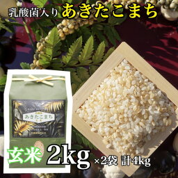【2セット】 乳酸菌 あきたこまち 一等米 玄米 2kg お米 玄米 ごはん 国産米 秋田 アキタコマチ 健康 プレゼント ギフト 贈り物 農家直送