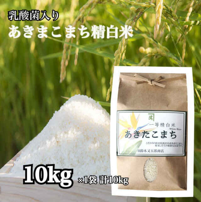 あきたこまち 【マラソン中 P5倍】 あきたこまち 一等米 白米 10kg 精米 お米 ごはん 国産米 秋田 アキタコマチ 健康 プレゼント ギフト 贈り物 農家直送