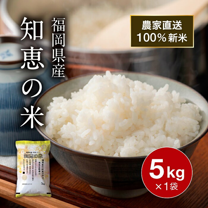 【スーパーSALE P5倍】 令和7年産 新米 お米 5kg 送料無料 知恵の米 元気つくし 精米 米 白米 農家直送米 ごはん 国産米 福岡県産 食味..