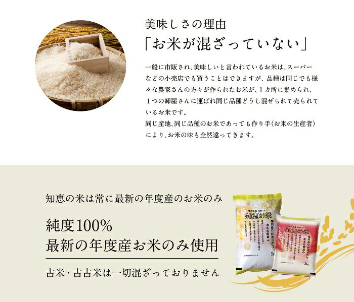 【マラソン中 P5倍】 令和7年産 新米 お米 5kg 送料無料 知恵の米 元気つくし 精米 米 白米 農家直送米 ごはん 国産米 福岡県産 食味 飯盛 おにぎり プレゼント ギフト 贈り物