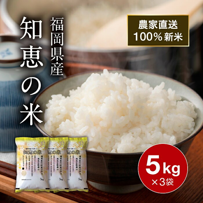農家直送米 新米 令和7年産 お米 15kg 送料無料 知恵の米 元気つくし 精米 米 白米 ごはん 国産米 福岡県産 食味 飯盛 おにぎり プレゼント ギフト 贈り物