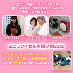 【送料無料】ミニランドセルケース付高級感あるアクリルケース付