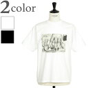 THE INTERNATIONAL ART COLLECTION インターナショナルアート コレクション カットソー Tシャツ フォト クルーネック 半袖 コットン IIC231-06 BLACK ブラック WHITE ホワイト Helmut Newton ヘルムートニュートン Fat Hand and Dollars Monte Carlo 1986