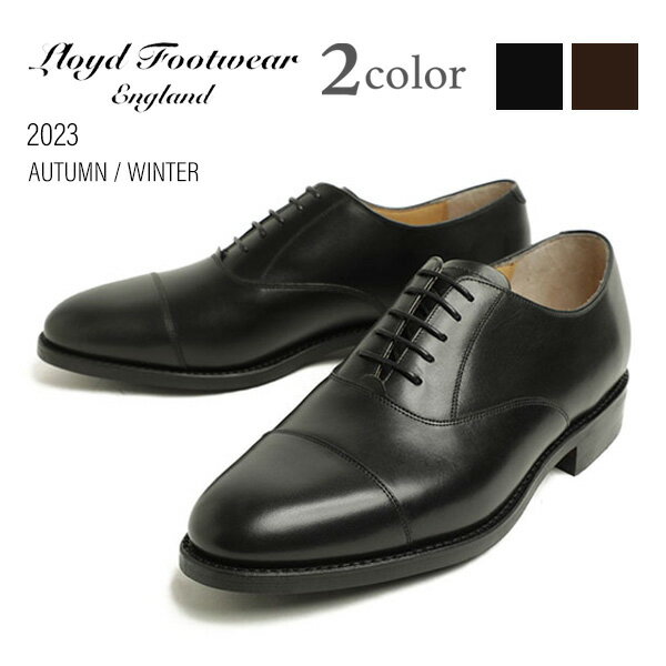 Lloyd Footwear ロイドフットウェア シューズ ストレートチップ キャップトゥ カーフ ダイナイトソール Vシリーズ オックスフォード 1213 EW10 BLACK ブラック EW11 WALNUT ブラウン EW10 BLACK ブラック