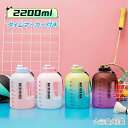 ボトル 水筒 2.2L プラスチック 直飲み ワンタッチ ウォーターボトル 広口 軽量 おしゃれ 常温ボトル マイボトル アウトドア ジム トライタン ワークアウト(3)