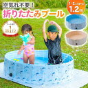【即納】プール 折りたたみ 空気入れ不要 犬用プール 犬 プール ペットプール ビニールプール ベランダ 屋内 家庭用 120×30cm 家庭用プール
