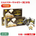 にんにくローヤルゼリー【粒】ウコン入り分包93粒×3個セット | はちみつ 蜂蜜 ハチミツ お歳暮 お歳暮ギフト 贈答用 退職 お礼 退職祝い 忘年会 新年会 ...